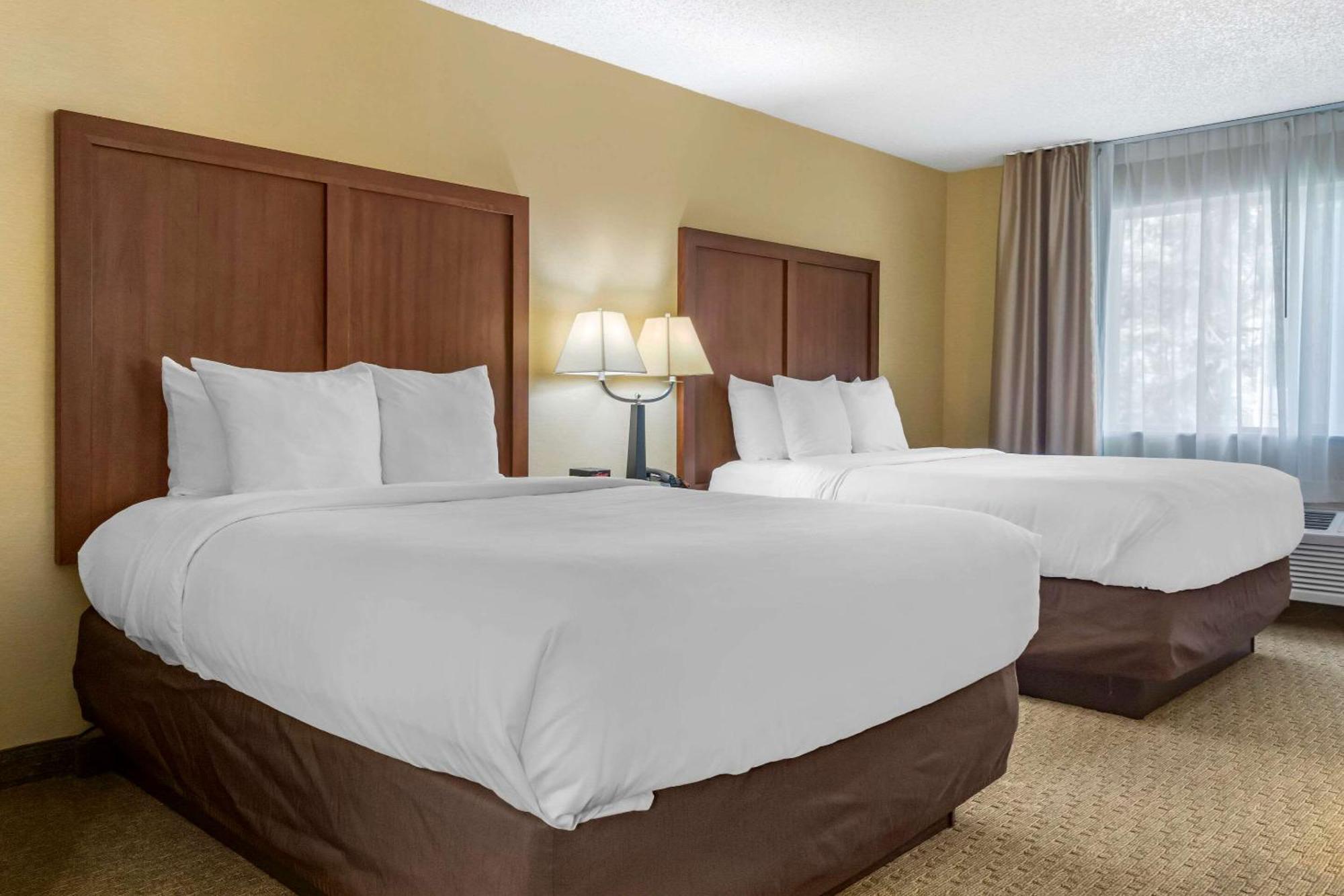 Comfort Inn & Suites Bothell - Seattle North Стая снимка