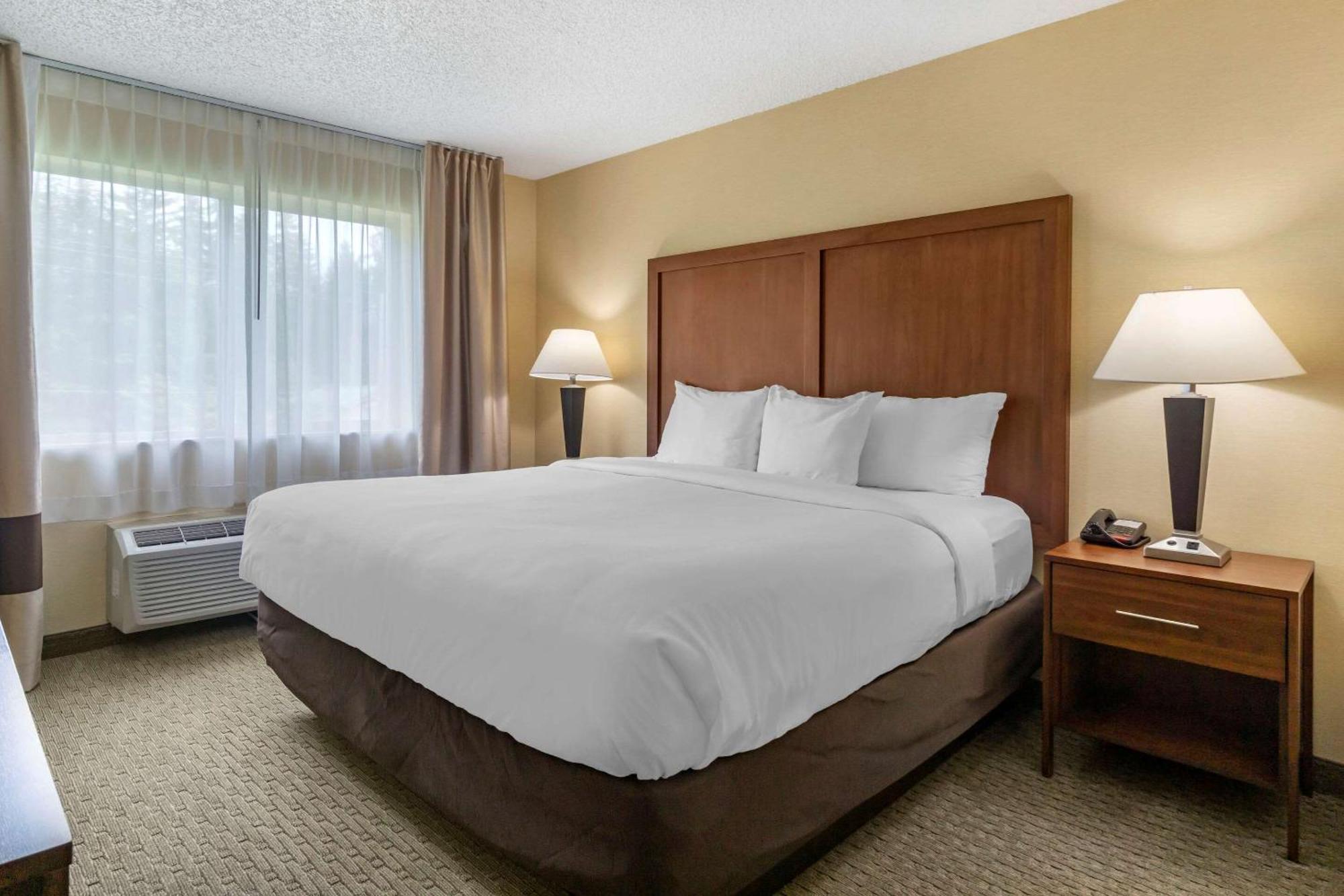 Comfort Inn & Suites Bothell - Seattle North Стая снимка